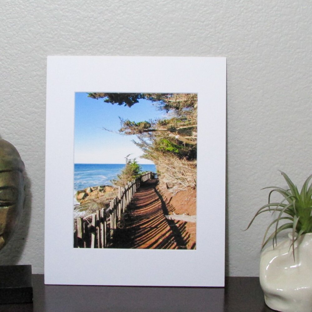 NWT Photography Print Matted - Mendocino Coast California Trail 11"x14"